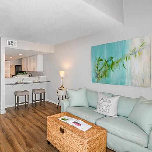 Living space decorated with light blue couch